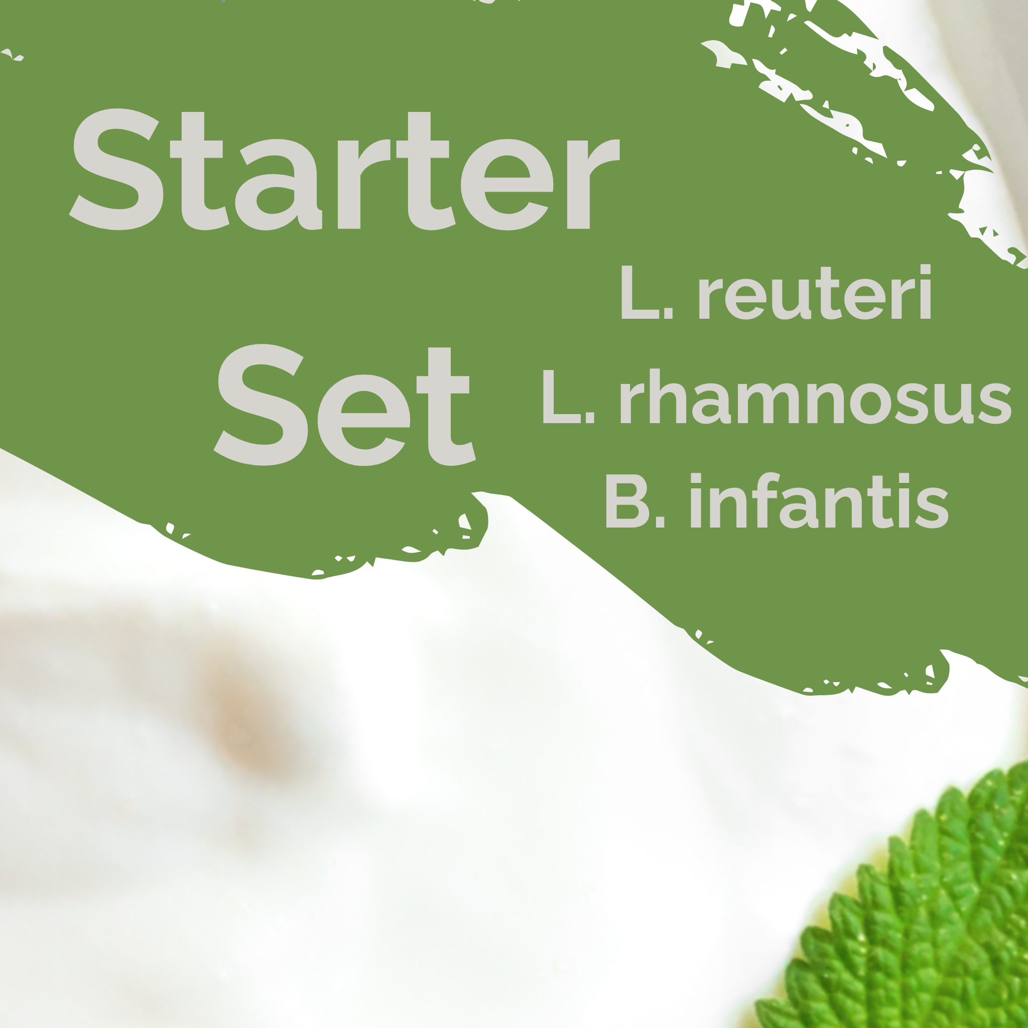 L. reuteri + L. rhamnosus + B. infantis | Yogurt Starter Set | Happy Gut | Starter Cultures | Pack of 3