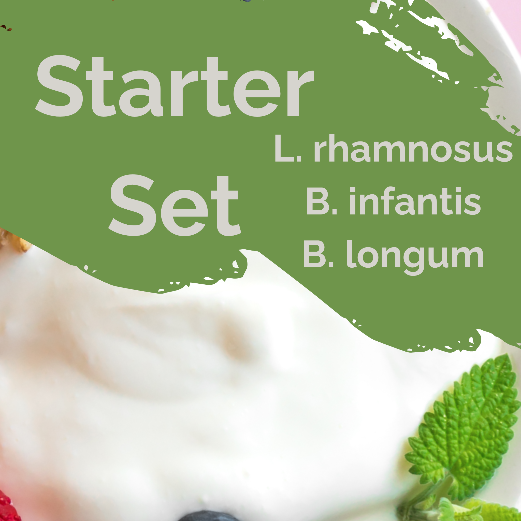 L. rhamnosus + B. infantis + B. longum | Yogurt Starter Set | Gut Balance | Starter Cultures | Pack of 3
